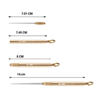 2x Titanium Toothpick